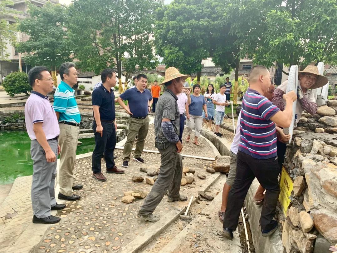 赤雄村新项目启动，乡村振兴新篇章