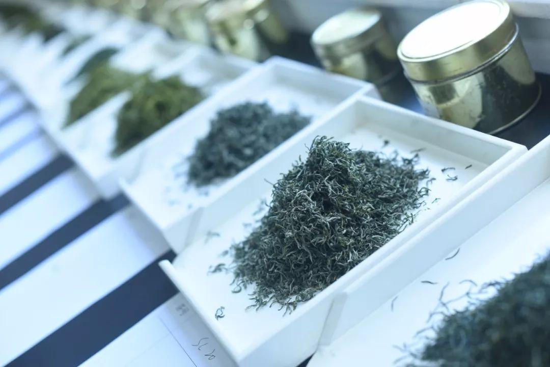 句容下蜀茶场最新招聘信息与职业机会分析