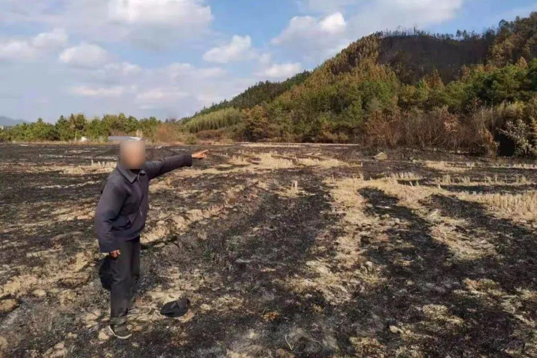 吉江村最新动态报道