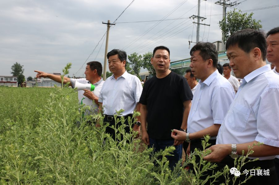 耿庄镇未来繁荣蓝图，最新发展规划揭秘