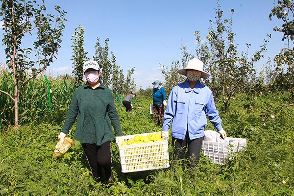 山西省晋城市高平市南城办事处最新招聘概况及职位信息速递