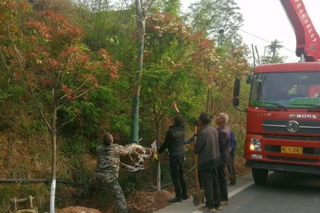 十堰市环境保护局最新动态报道