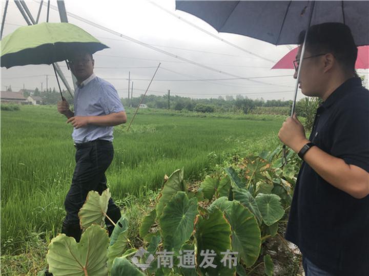 海门市农科所新领导团队引领下的新气象